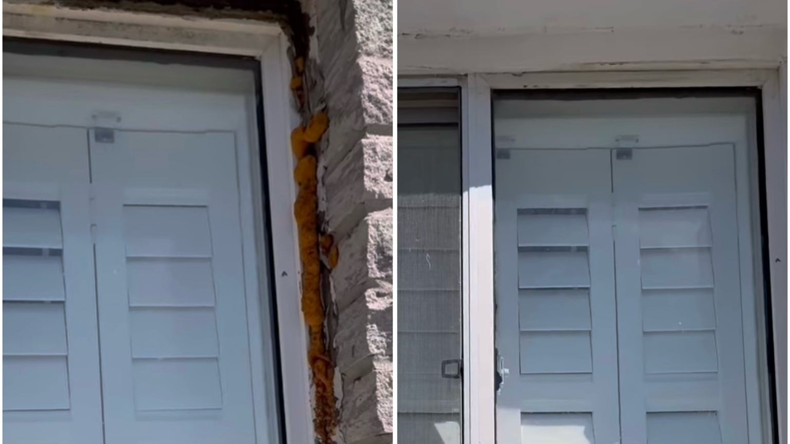 Mississauga Window Caulking